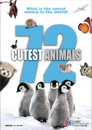 Xem phim 72 loài động vật dễ thương nhất